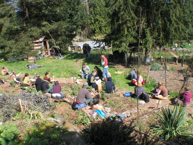 A community gathering outdoors in a forest garden